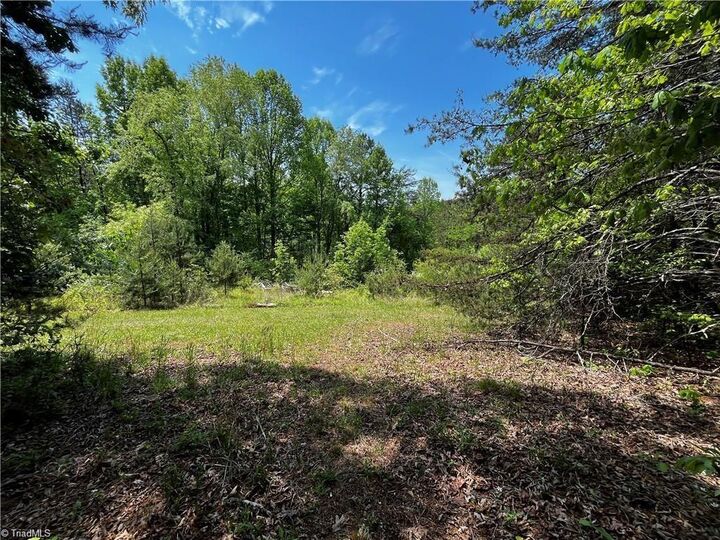 Property Photo: 0000 Virgilina Circle VA 24317