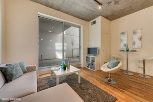 Property Photo: 1620 S Michigan Avenue 323 IL 60616