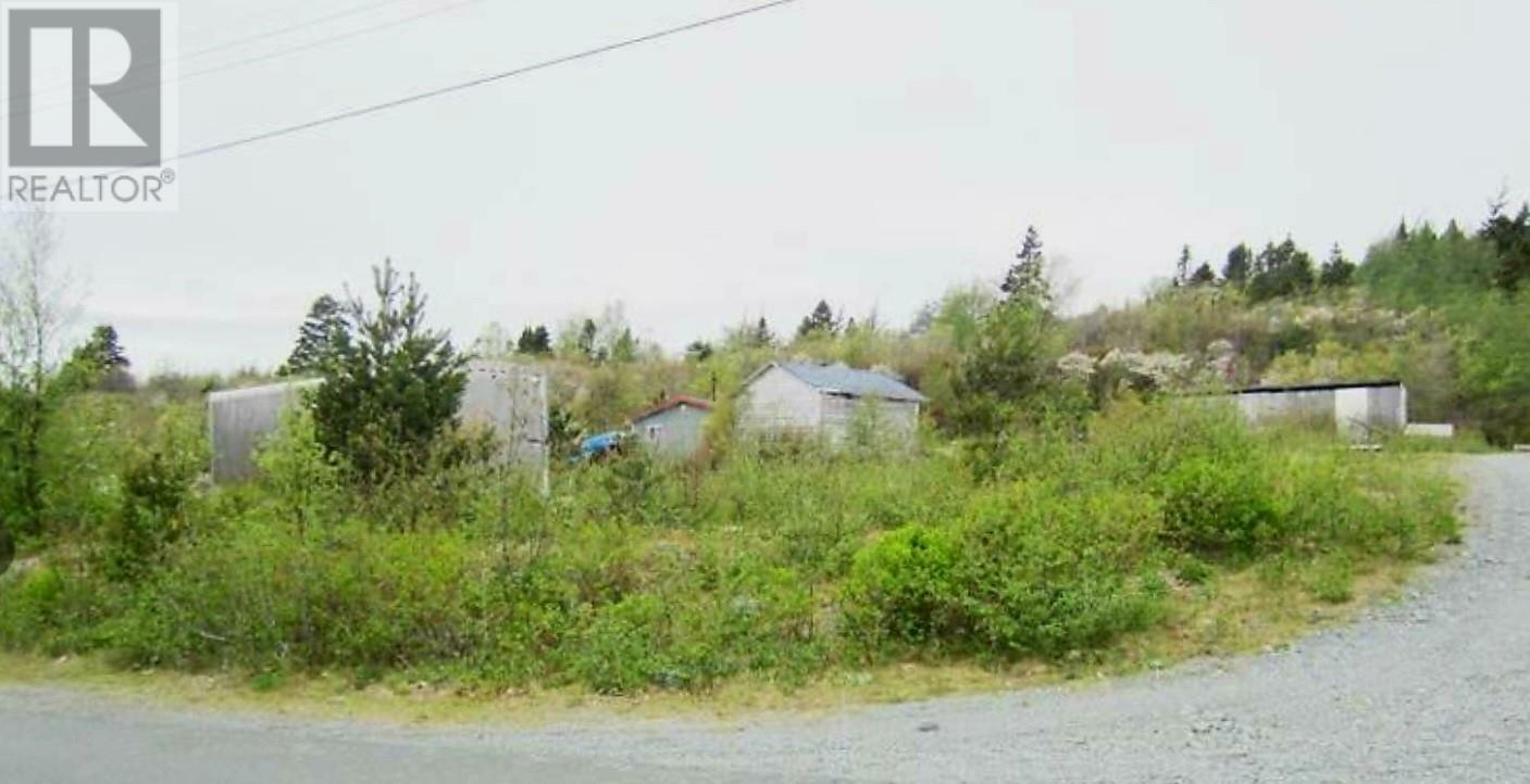 11 Snows  Bay Roberts NL A0A 1G0 photo