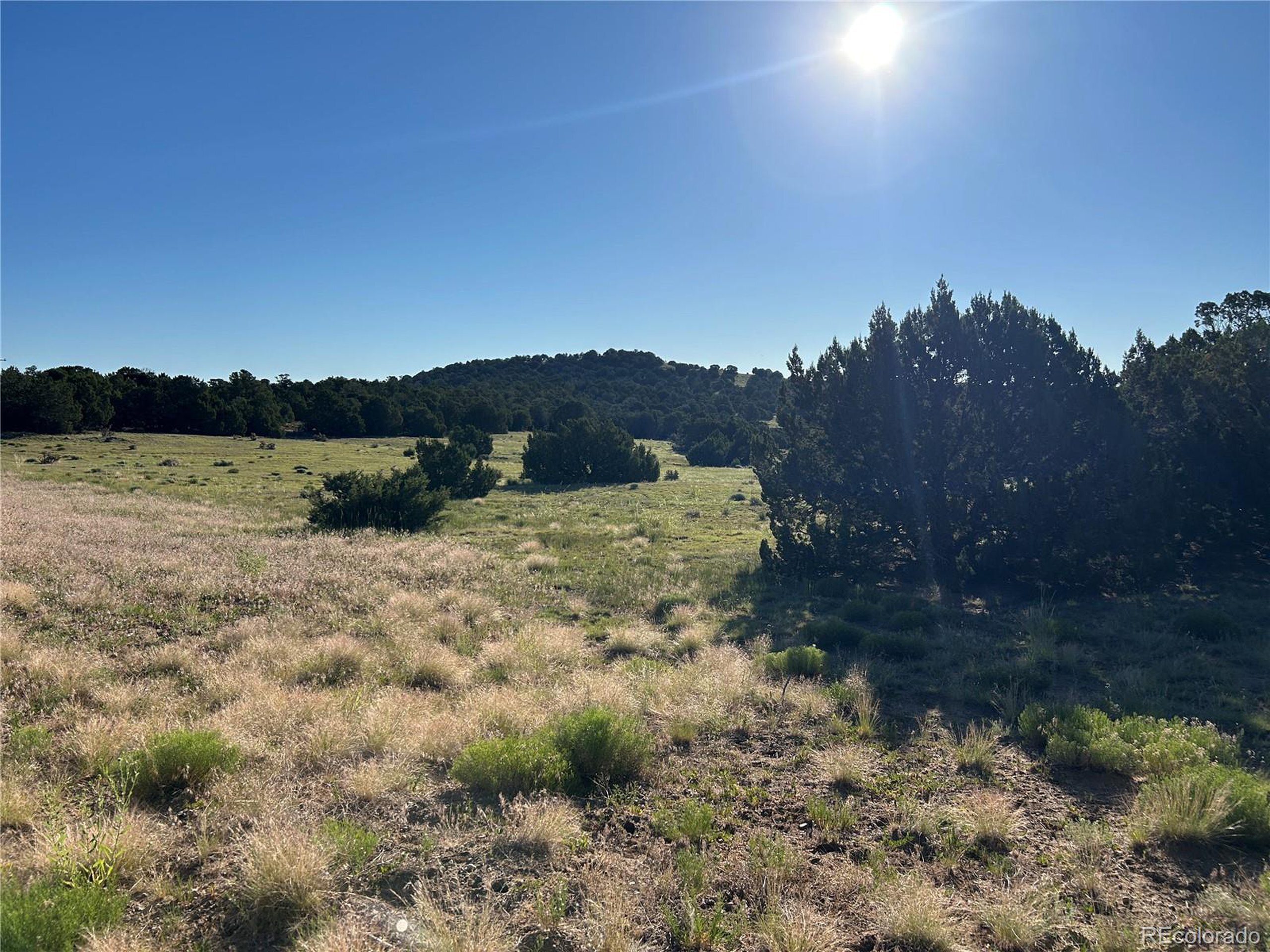 Property Photo: City Ranch Properties CO 81089