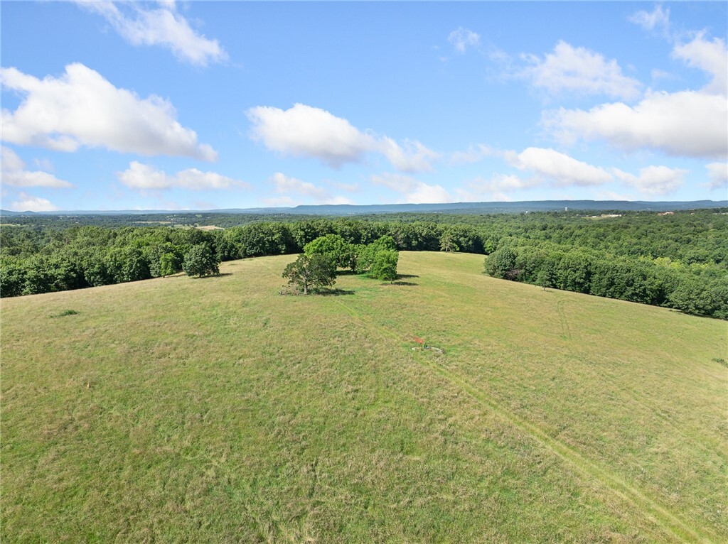 Property Photo:  Payne Road  AR 72601 