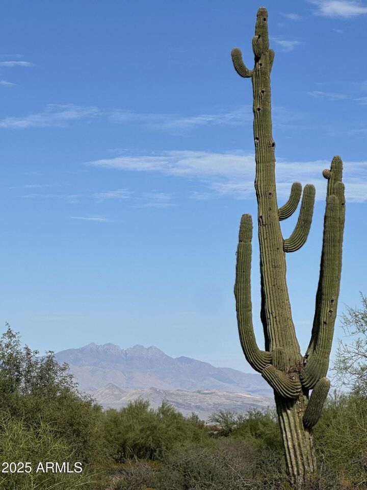 Property Photo:  31120 N Visado Court 92  AZ 85262 