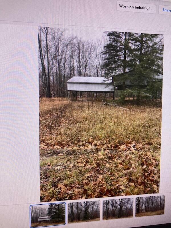 7347 Paradise Trl  Carp Lake MI 49718 photo