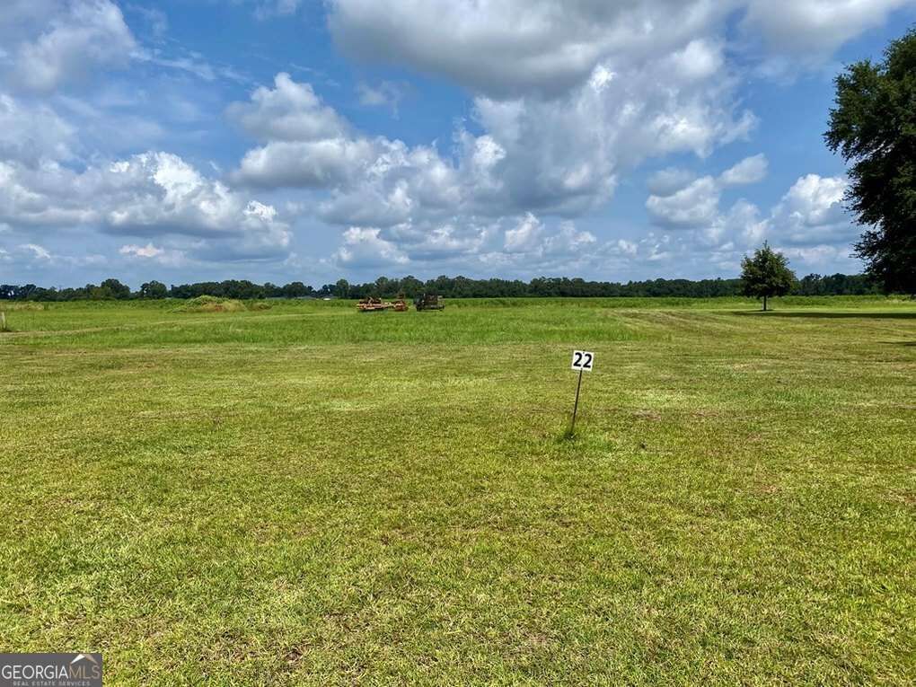 Property Photo: 565 Nectar Lane GA 31705