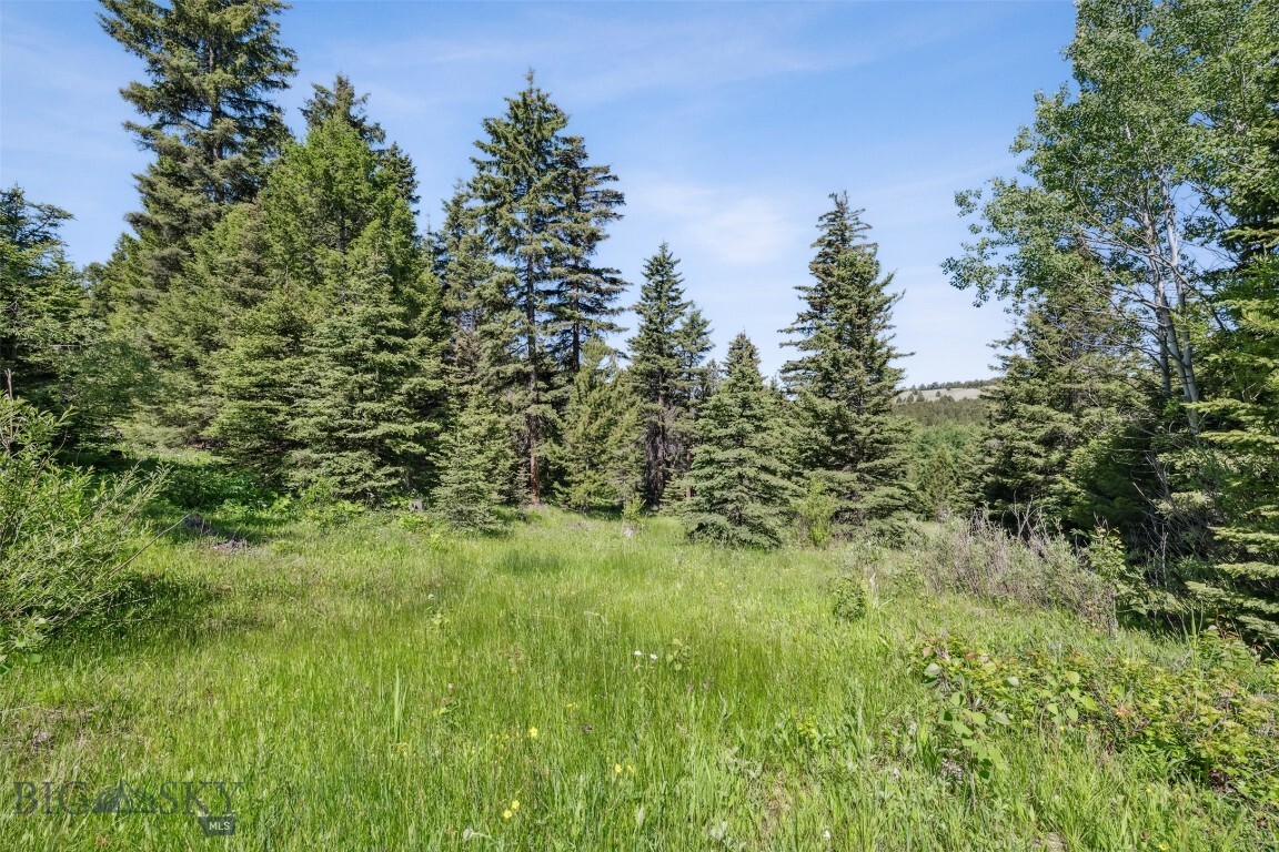 Property Photo: Tbd Smokey Mountain Drive MT 59711