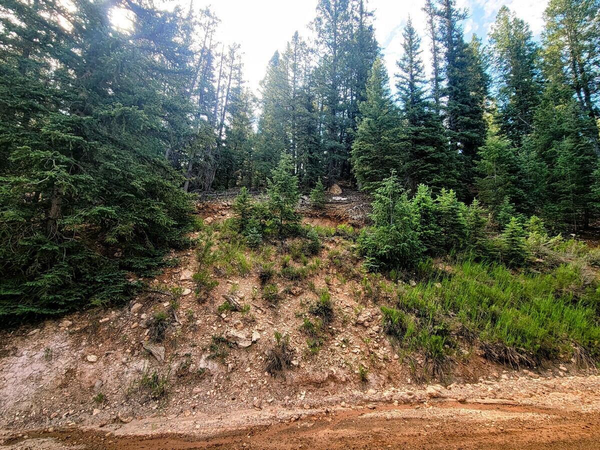 Property Photo: 770 N Skyline View Dr UT 84762