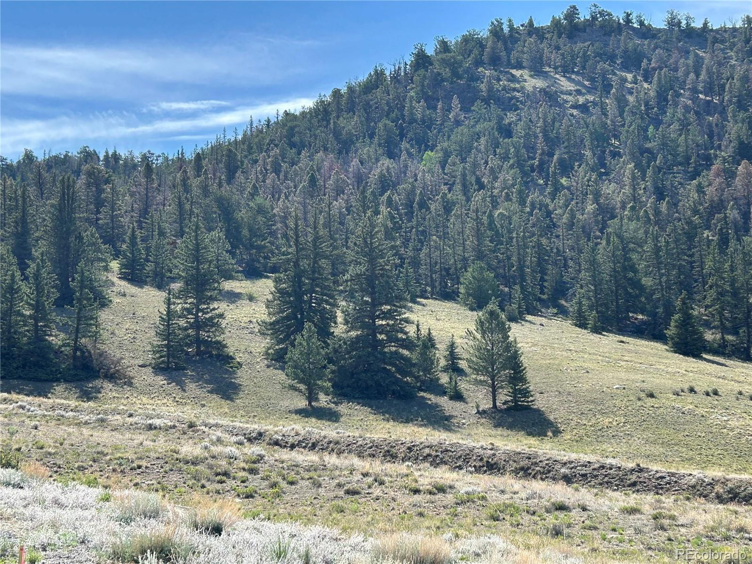 Property Photo: Hwy 285/24 CO 81211