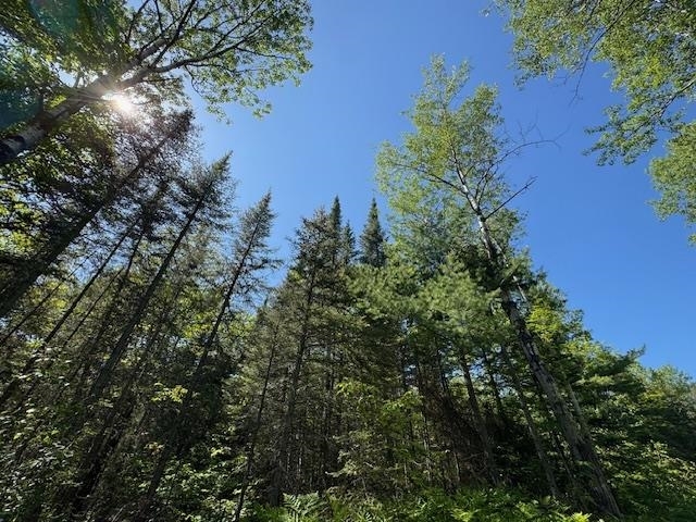 Property Photo:  305 Irish Creek Rd  MN 55606 