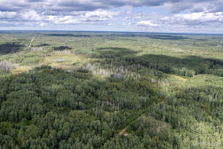 Property Photo:  Tbd Plantation Lane  MI 49880 