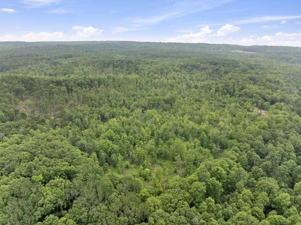 Property Photo: Tbd Wormwood MI 49740