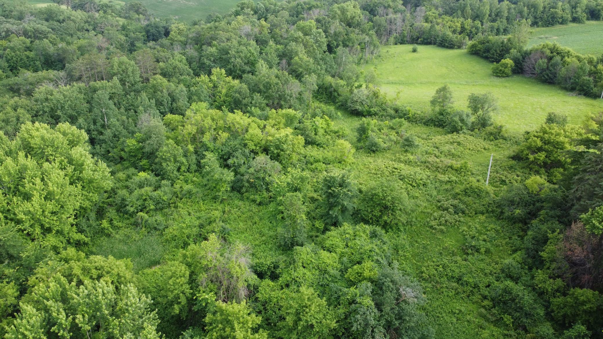 Property Photo: 30800 Hardwood Lane MN 55066