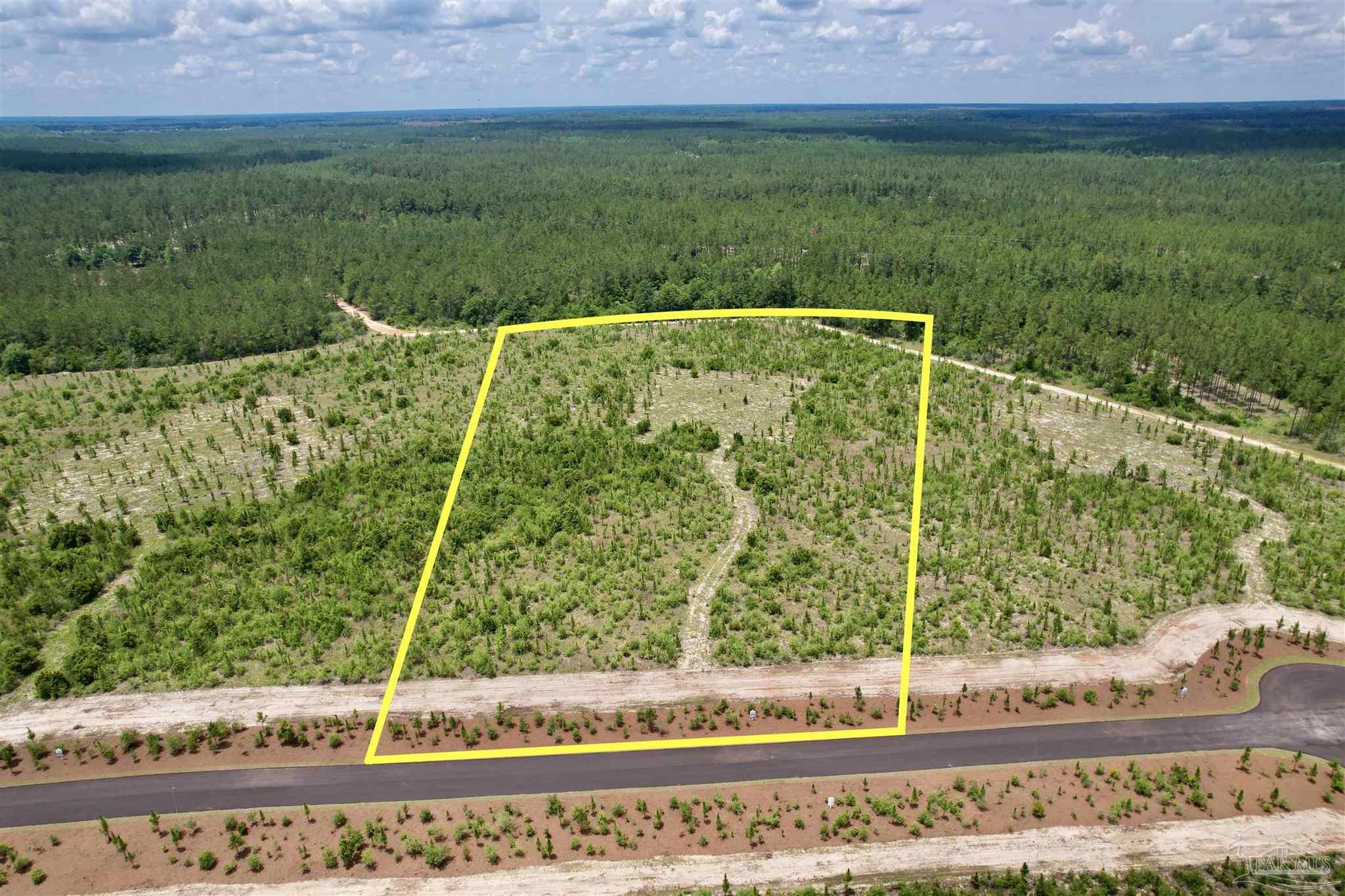 Property Photo: Lot 51 South Timber Ln FL 32571