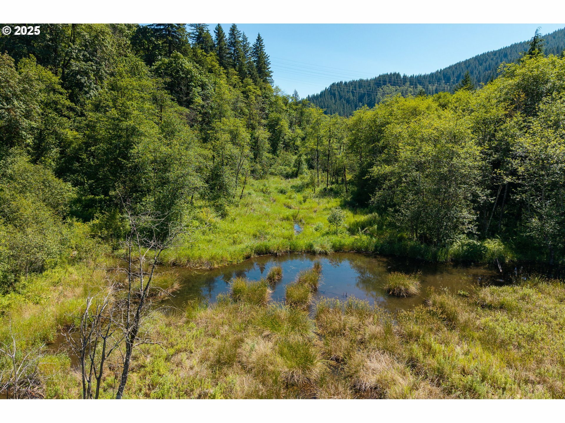Property Photo: 16102 Washougal River Rd WA 98671
