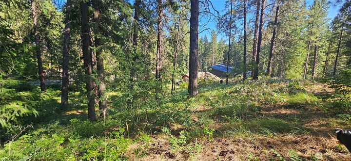 Property Photo: 21815 Colt Road WA 98826