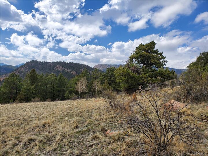 Property Photo:  663 Brookside Drive  CO 80421 