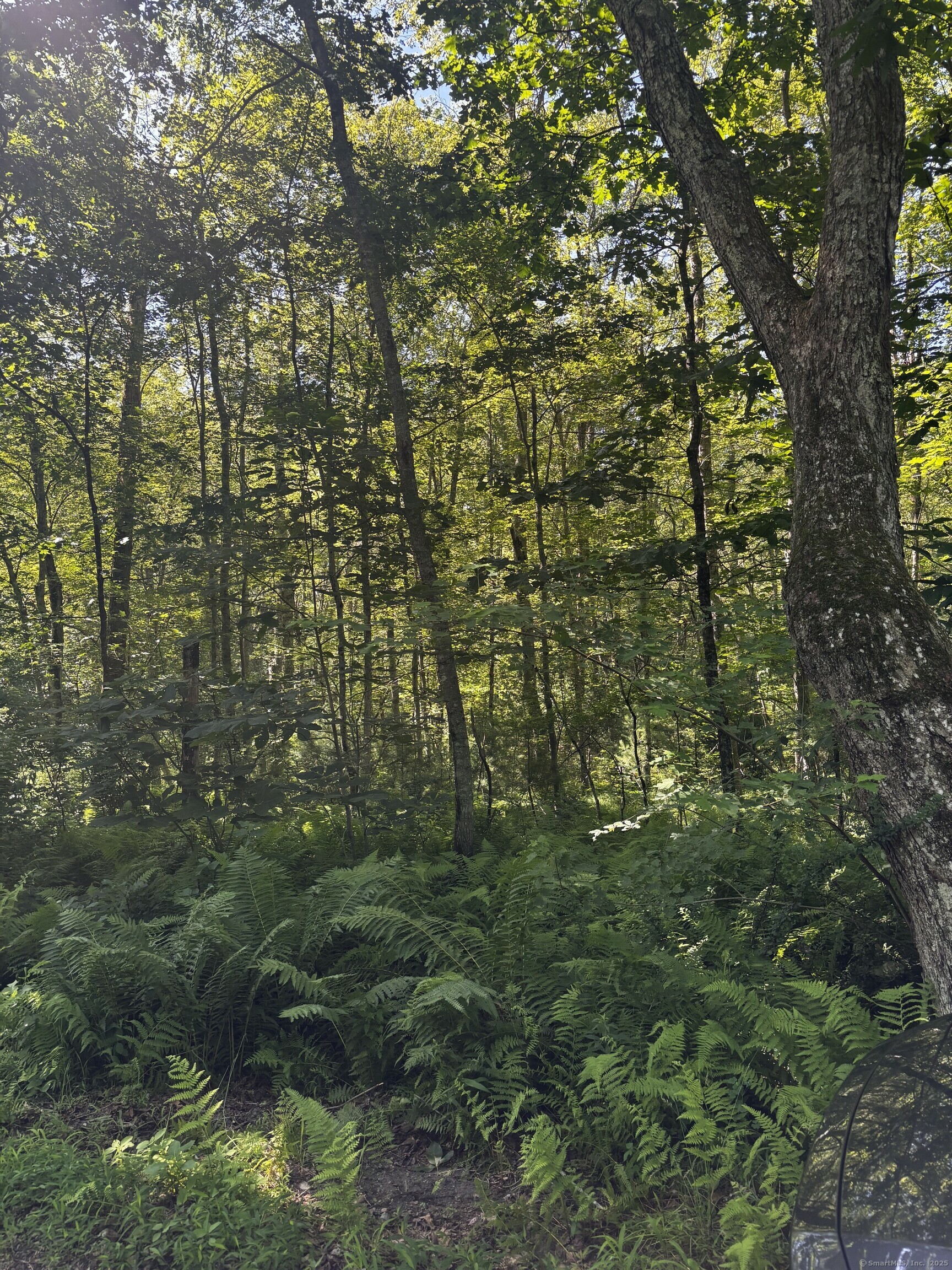 Property Photo: Drain Street CT 06427