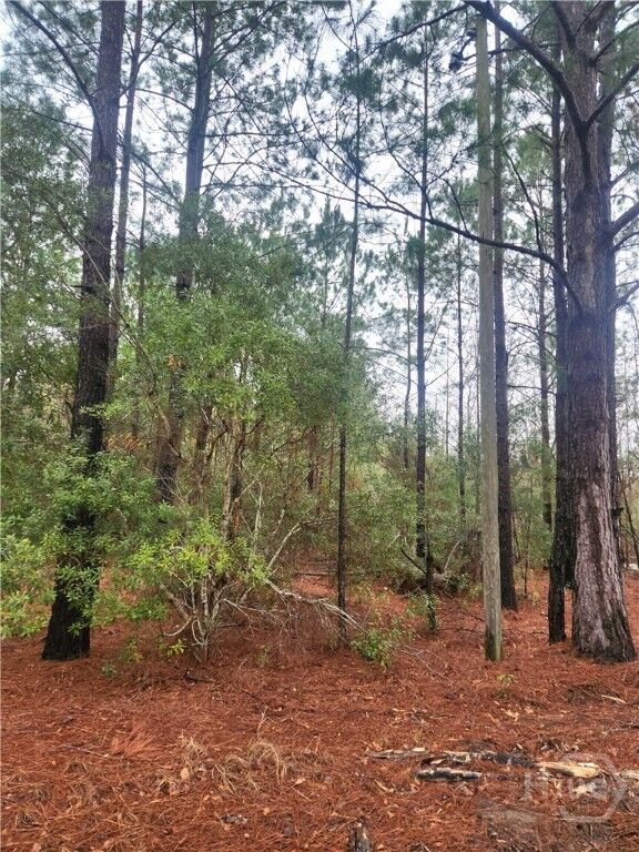 Property Photo:  351 S Poplar Street  GA 31321 
