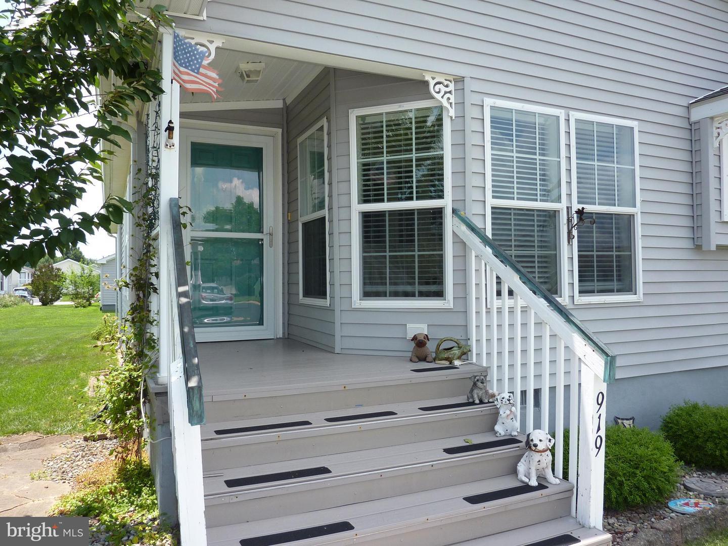 Property Photo:  919 Appleberry Drive  DE 19977 