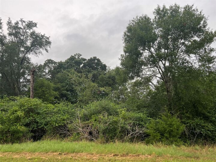 Property Photo:  1415 25th Street  TX 77445