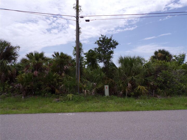 Property Photo: 10266 Lobelia Place FL 33981