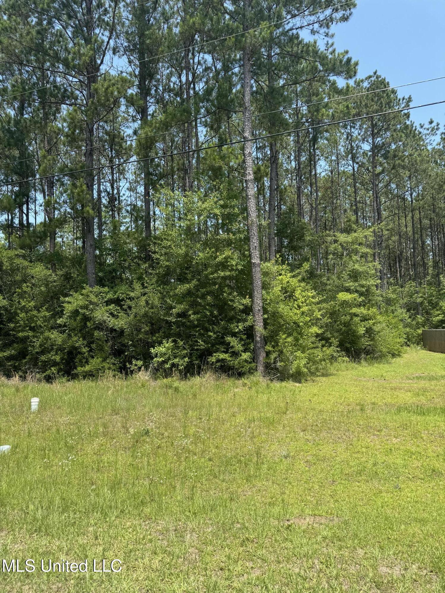 Property Photo: E Edgewood Drive MS 39574
