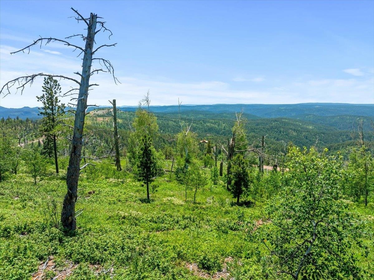 Property Photo:  Lot 1  SD 57754 