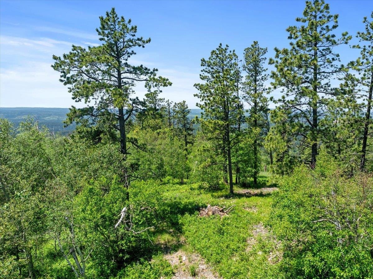 Property Photo:  Lot 3  SD 57754 