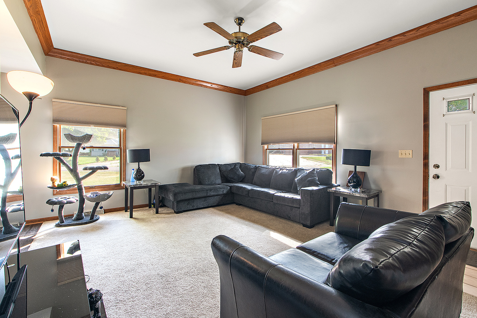 Property Photo: 831 Horseshoe Drive B IL 60435