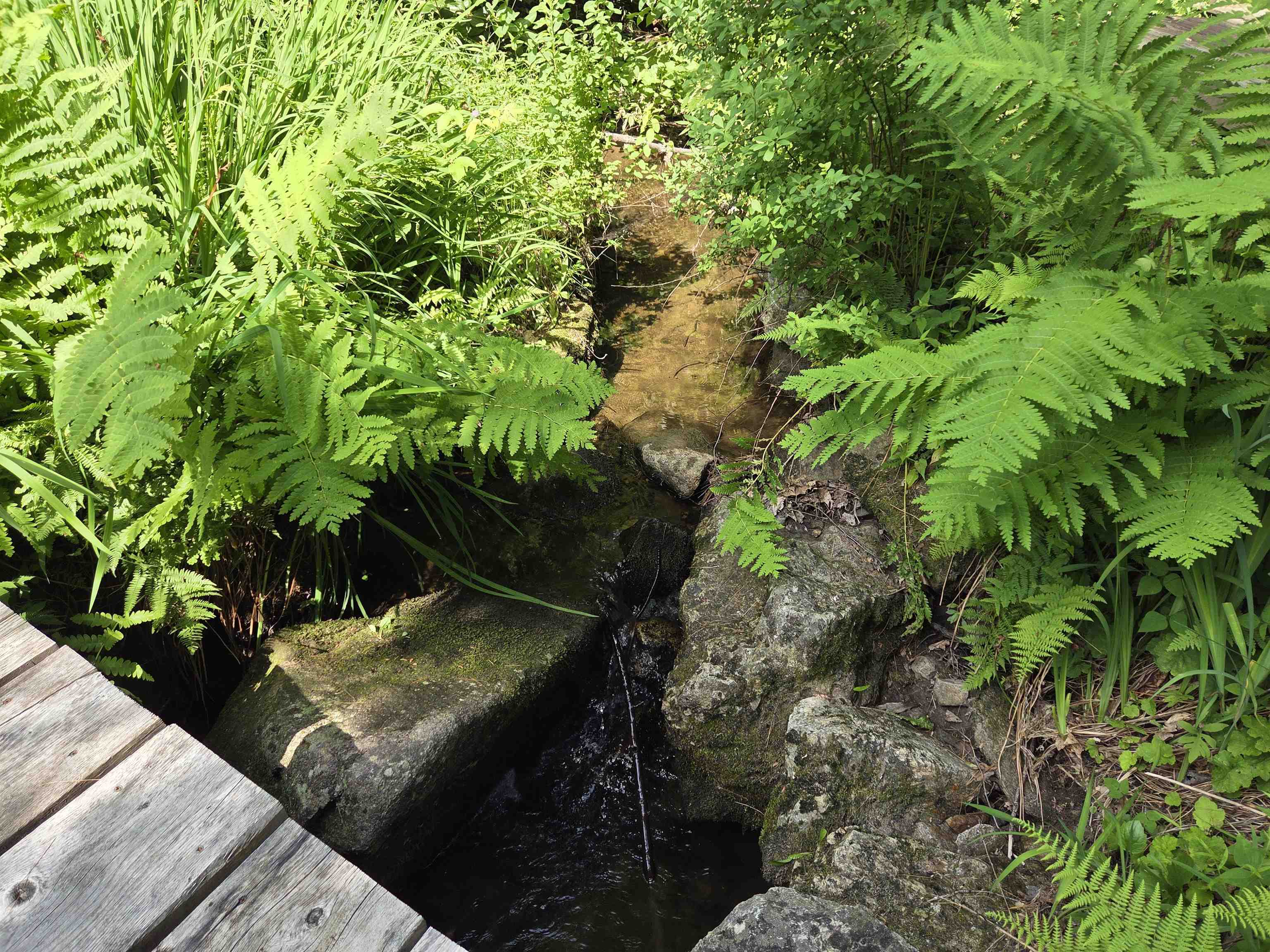 Property Photo: 49 Pedrick Road NH 03287