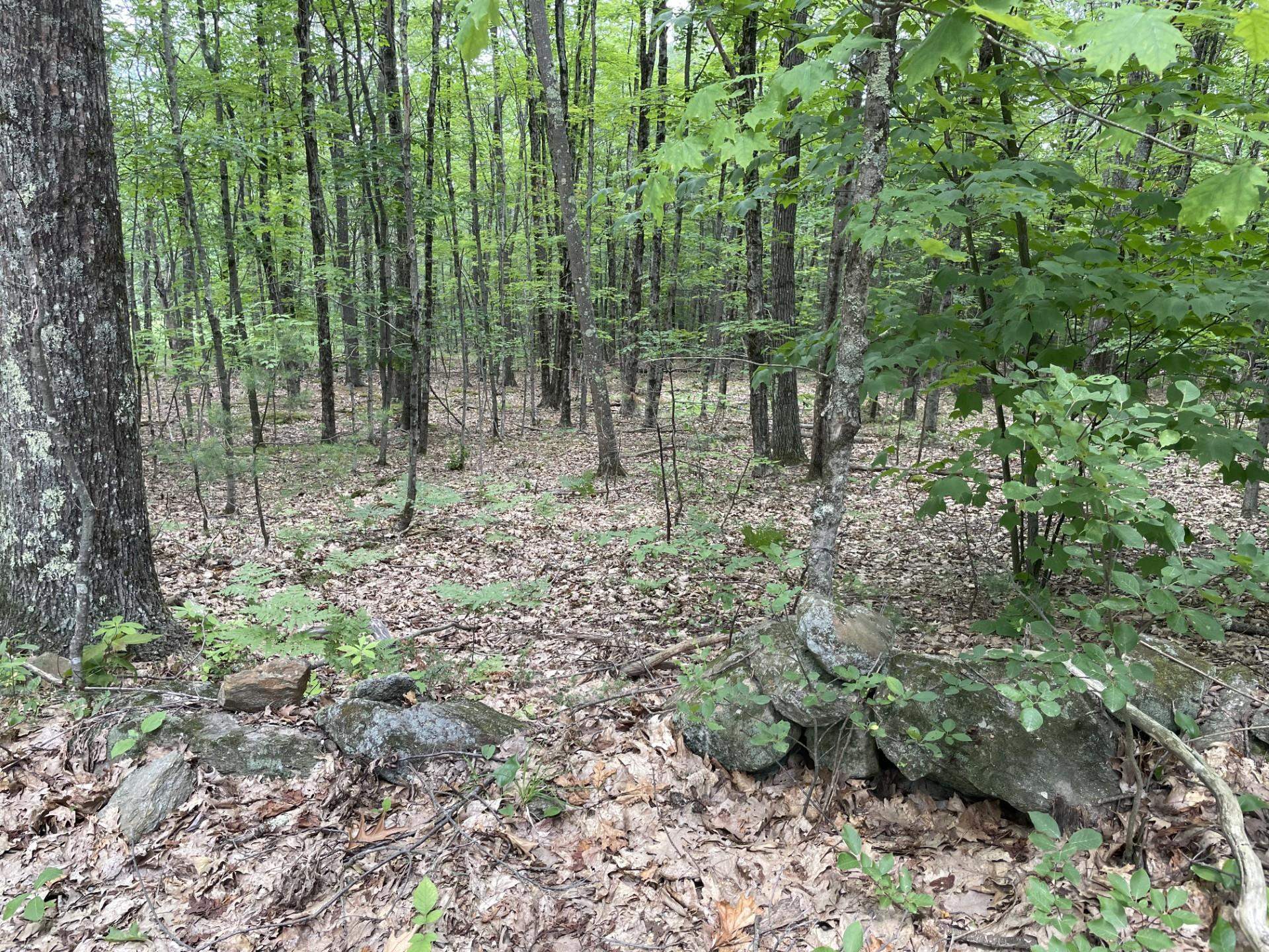 Property Photo: 956 N Barnstead Road NH 03225