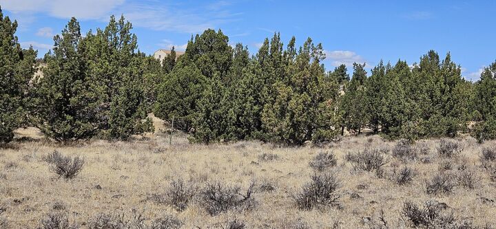 Property Photo: 7537 SE Thomas Road OR 97754