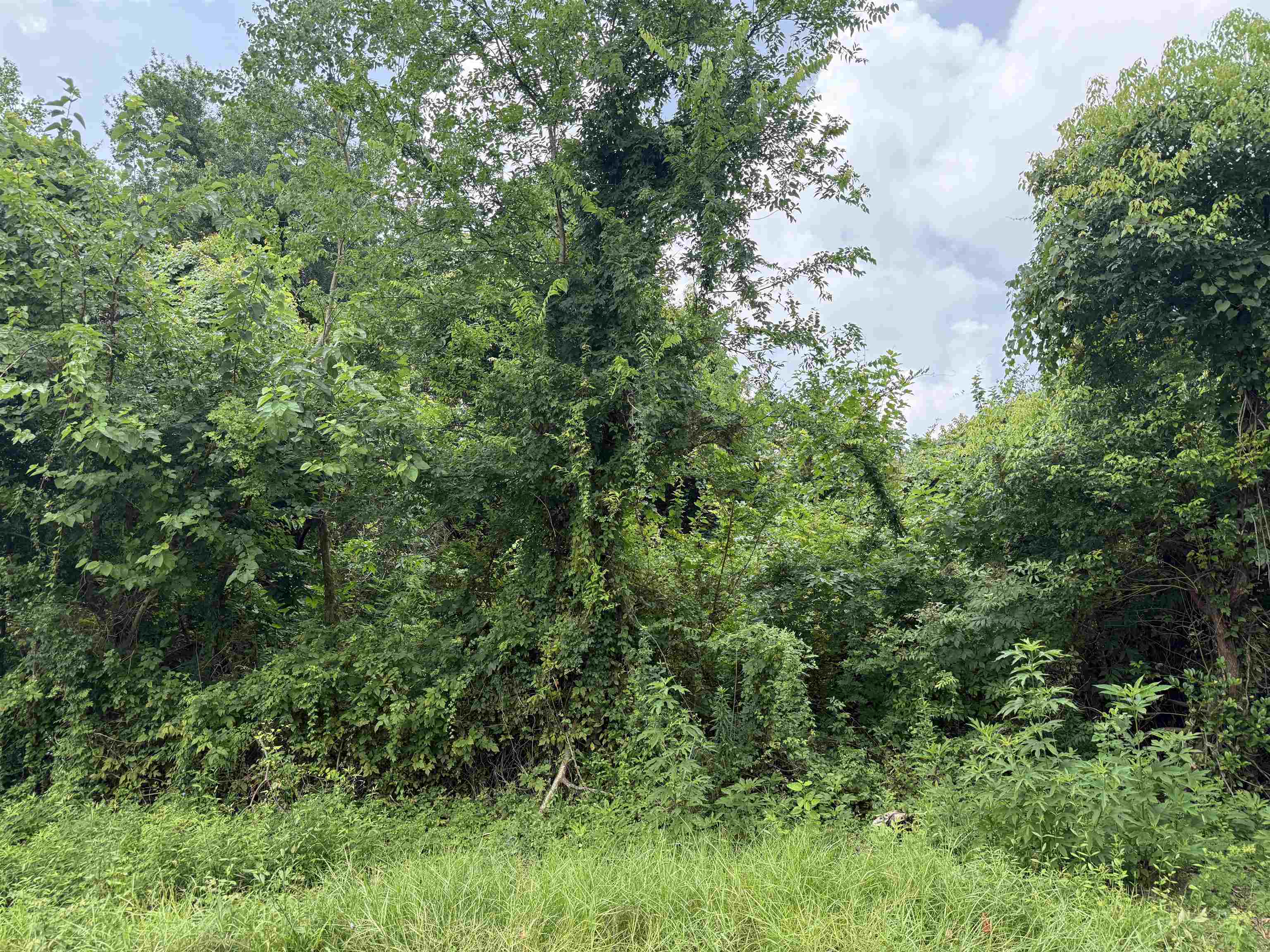 Property Photo:  1401 N Hart  TX 77630 