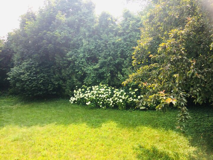 Property Photo: 5 Erin Avenue NY 12901