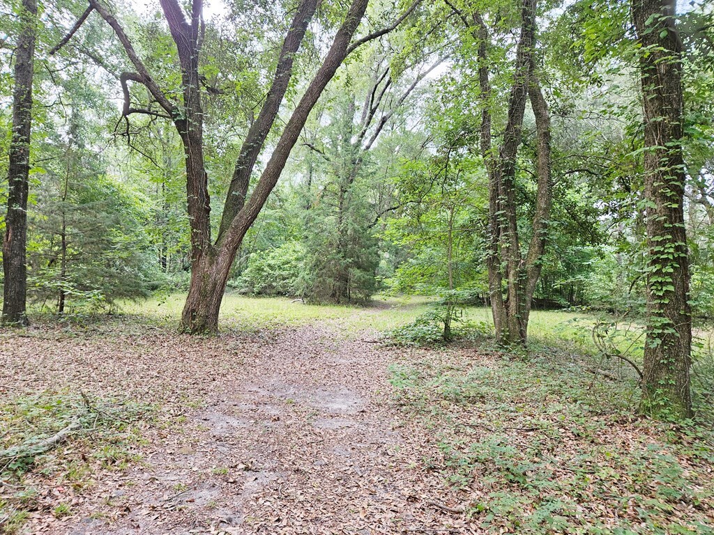Property Photo: 228 Laurel Court GA 39842