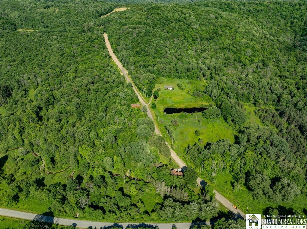 Property Photo: 0 Morgan Hollow Road NY 14737
