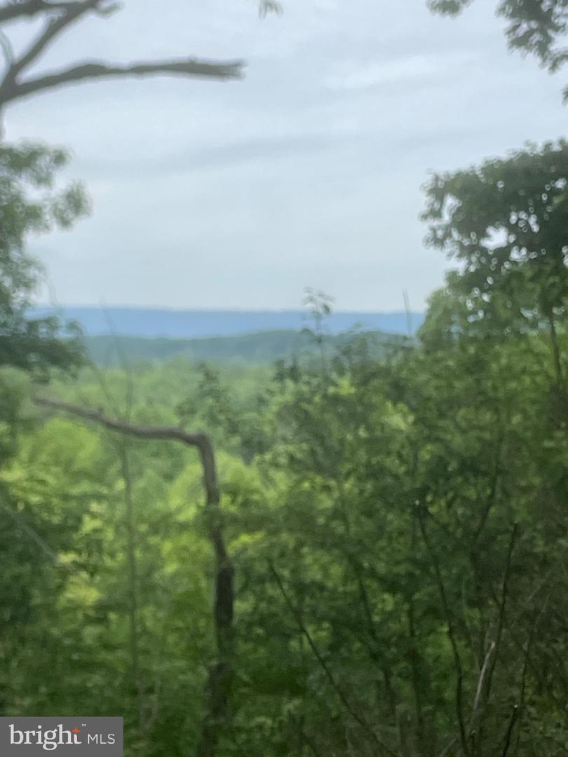 Property Photo:  Mt Zion Road  WV 25430 