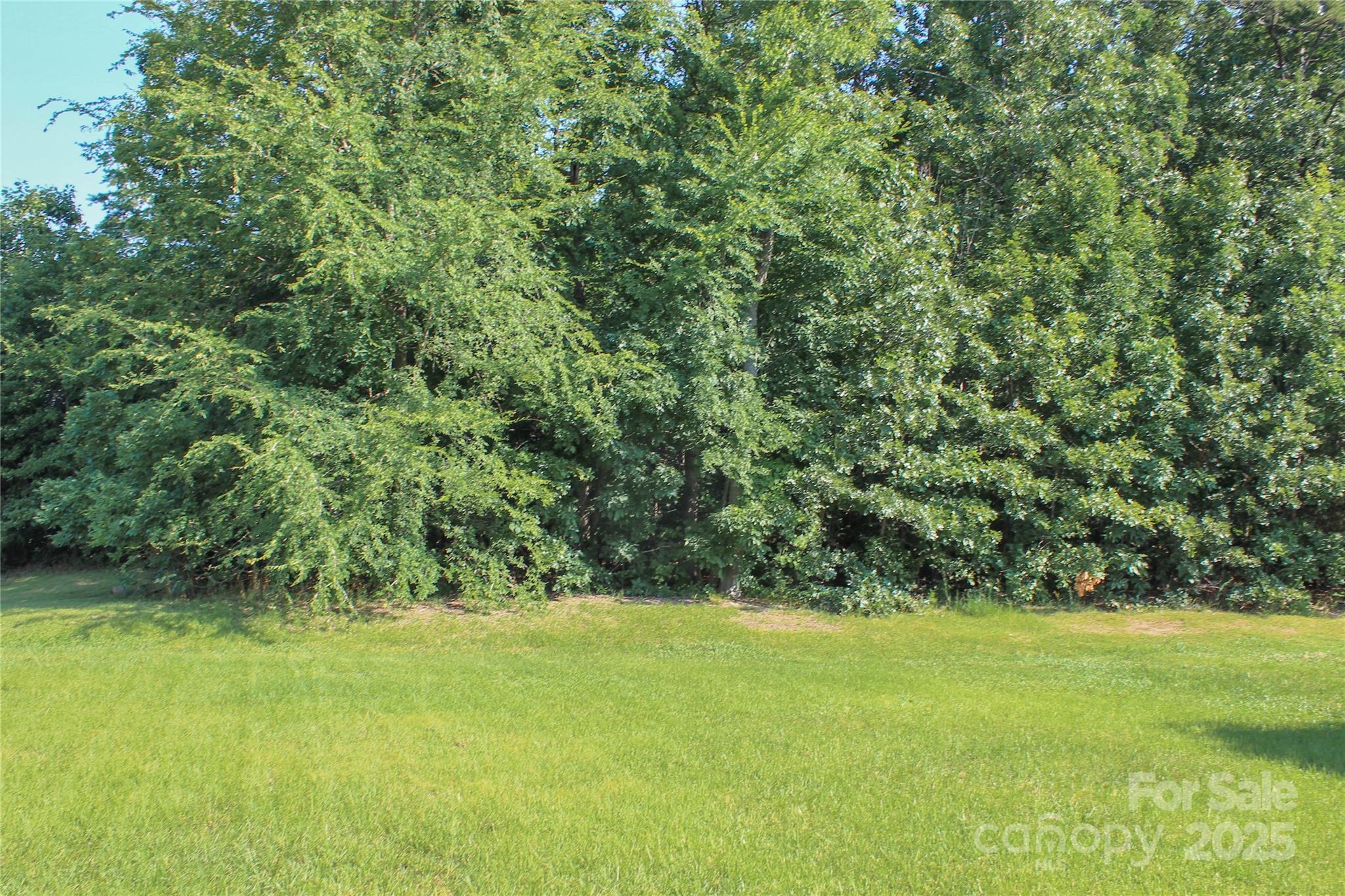 Property Photo: 420 Leecrest Drive NC 28214