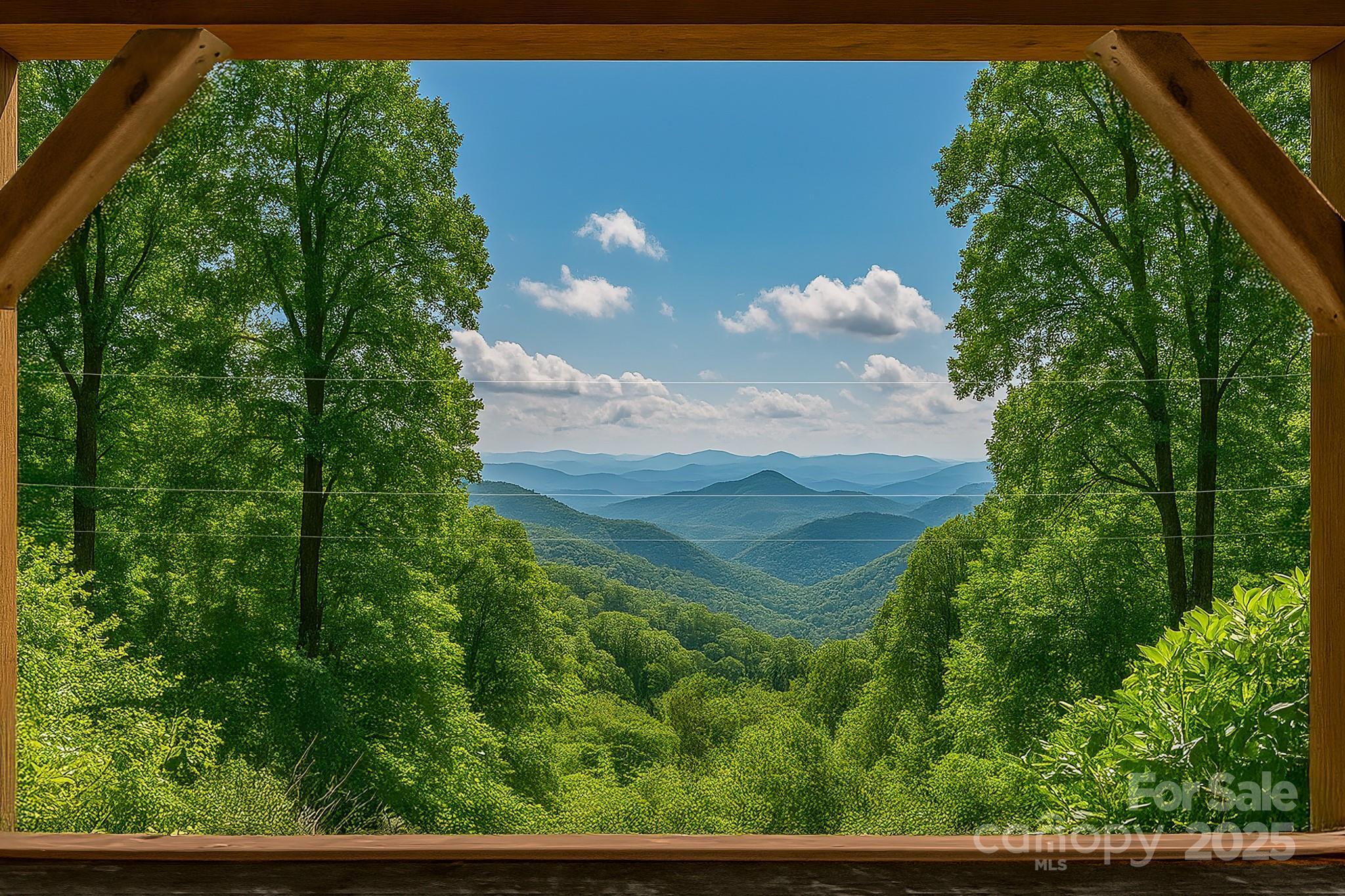 Property Photo:  55 Bearwallow Road  NC 28748 