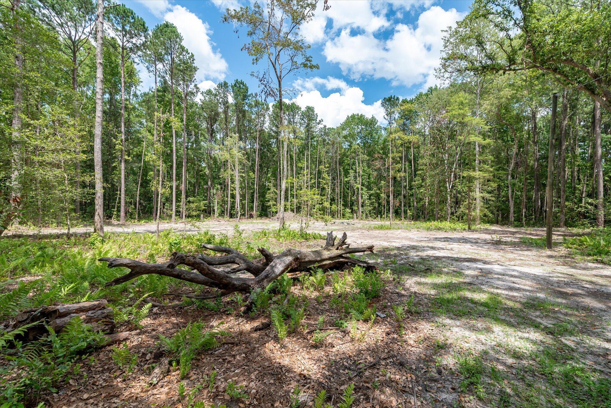 Property Photo: 98 Manatee Lane SC 29446