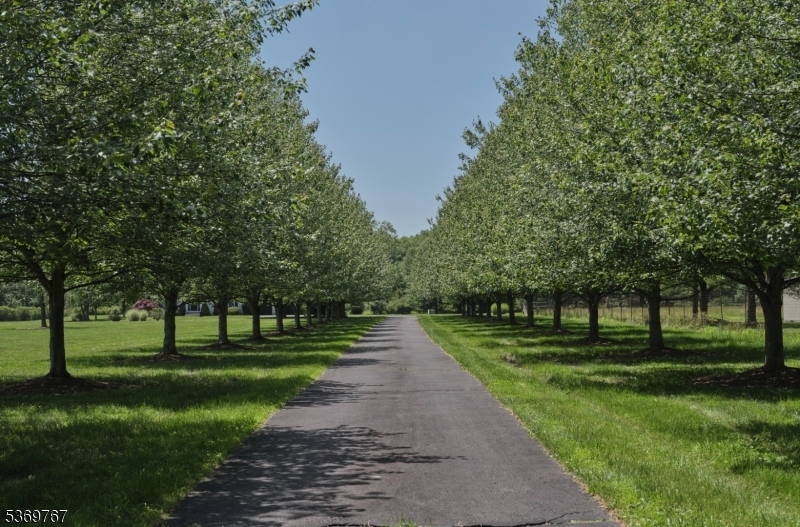 Property Photo: 79 Union Rd NJ 08825