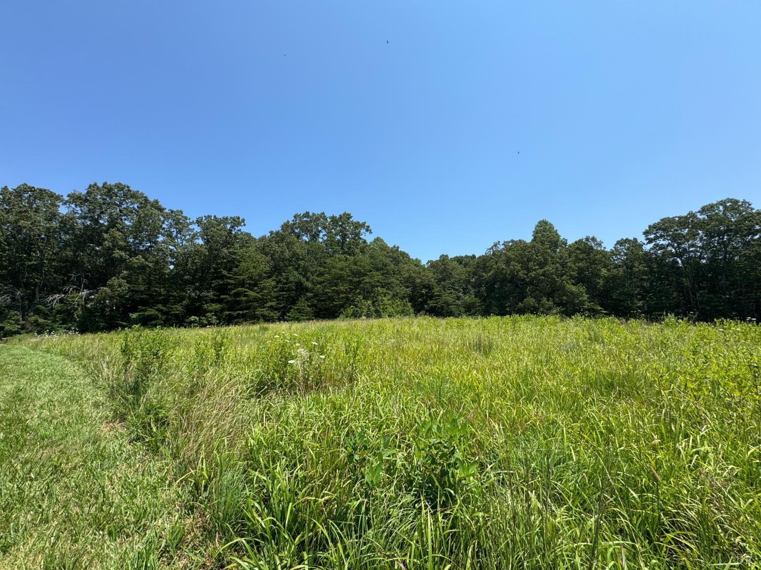 Property Photo:  3 Duck Pond  VA 24522 