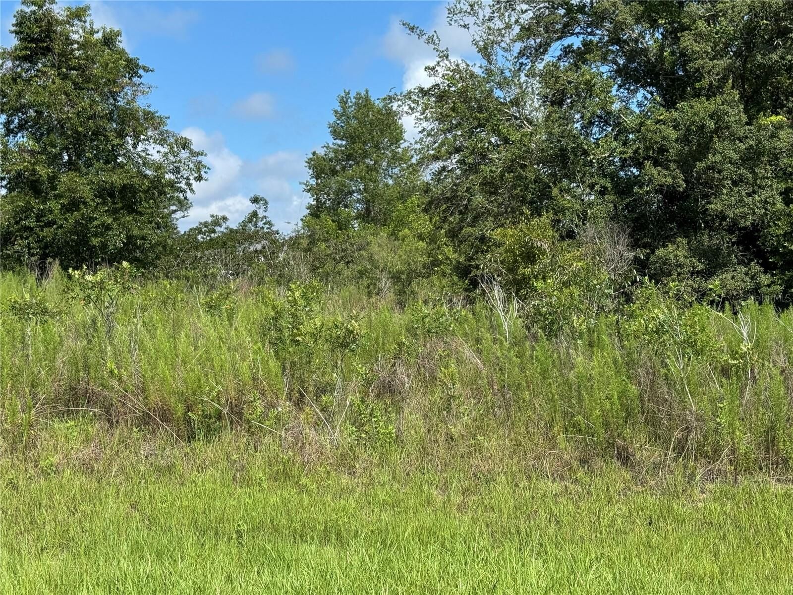 Property Photo: 413 E Parker Loop FL 34434