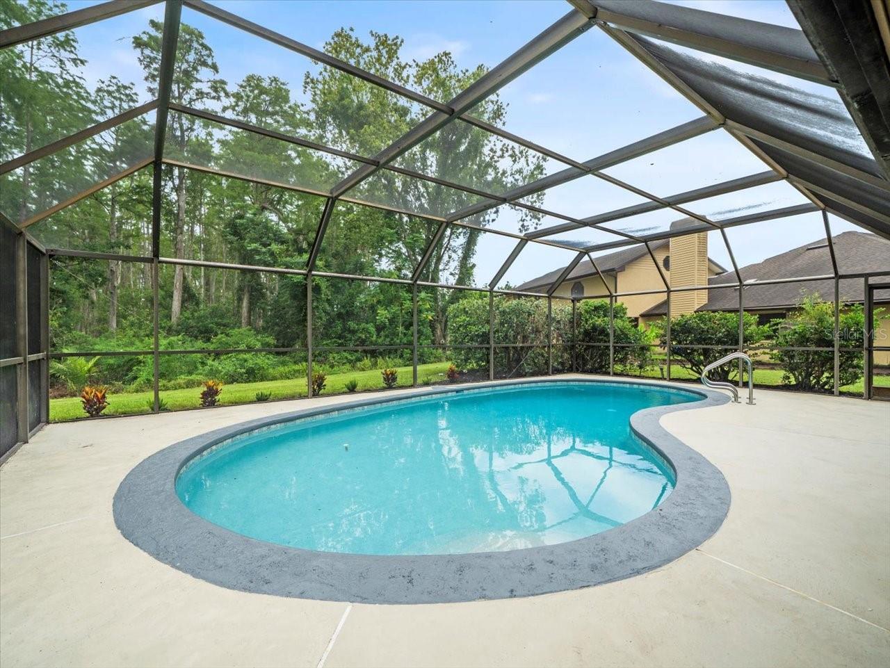 Property Photo:  3334 Westmoreland Drive  FL 33618 