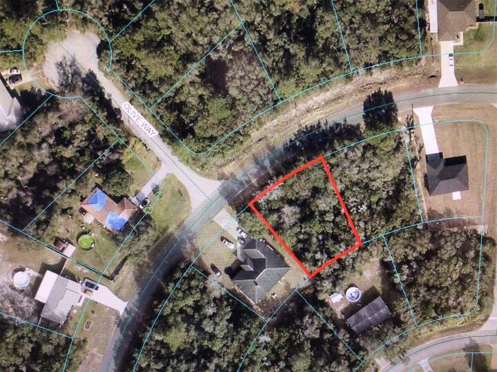Property Photo: 0 Olive Road FL 34473