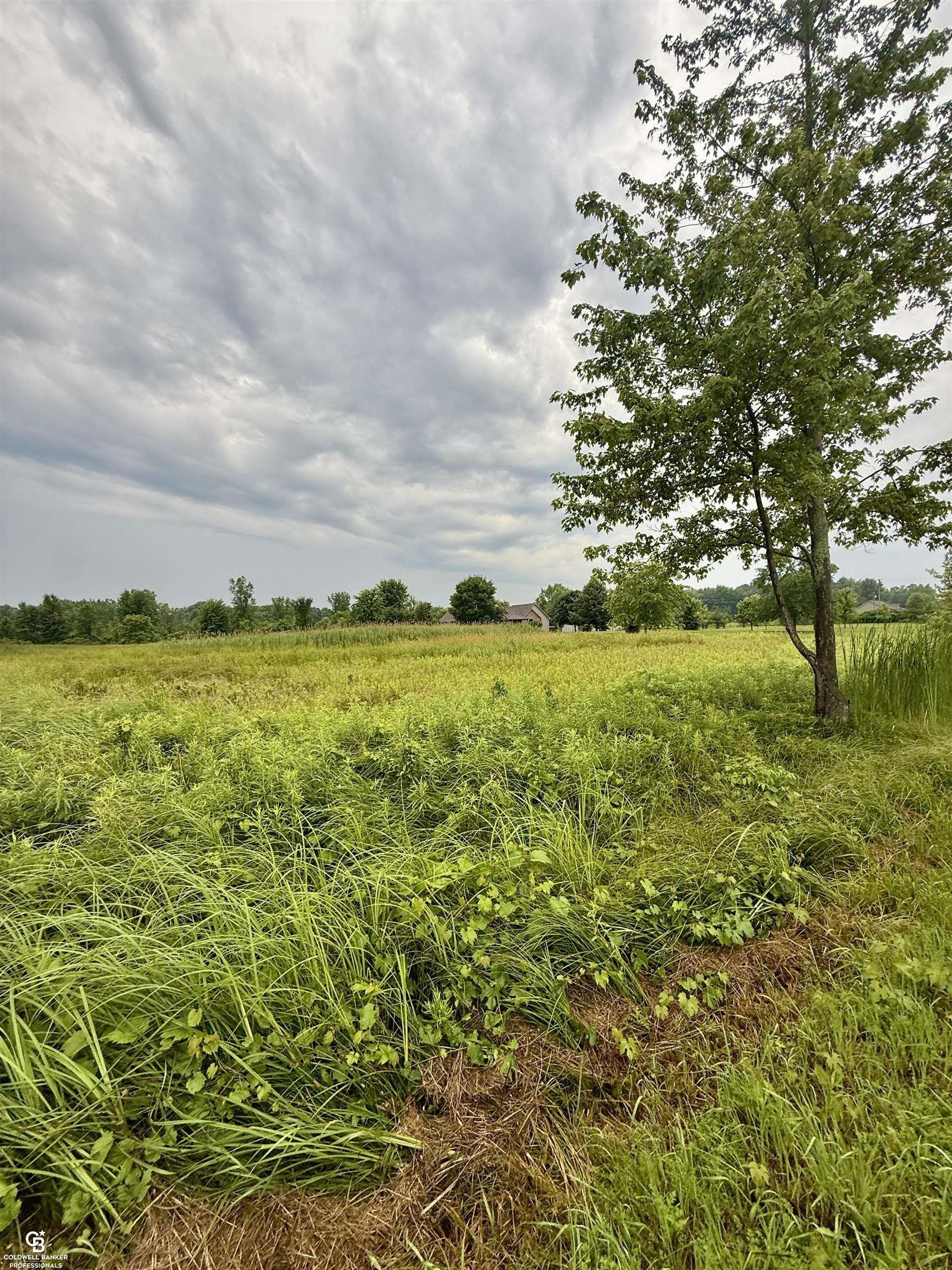 Property Photo: Yale Road MI 48097