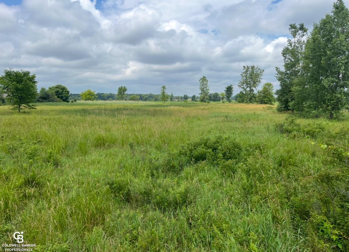 Property Photo:  Yale Road  MI 48097 