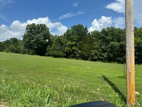 Property Photo: Lot 35 Morgan Lake Road MO 63020