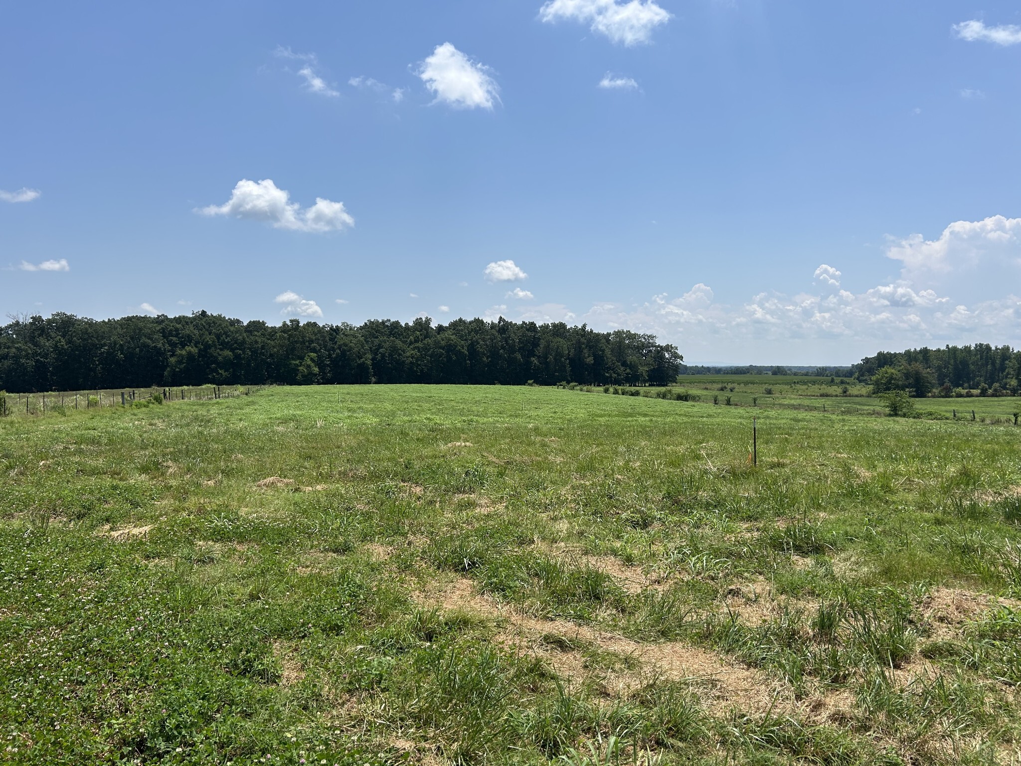 Property Photo:  0 Goosepond Road  TN 37355 