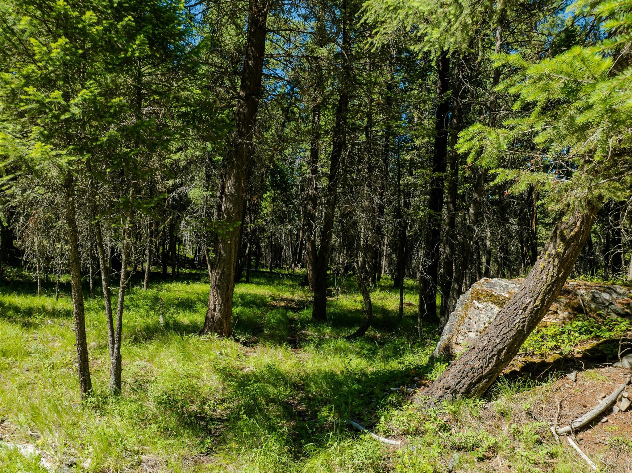 Property Photo: Nhn Rocky Point Road MT 59901
