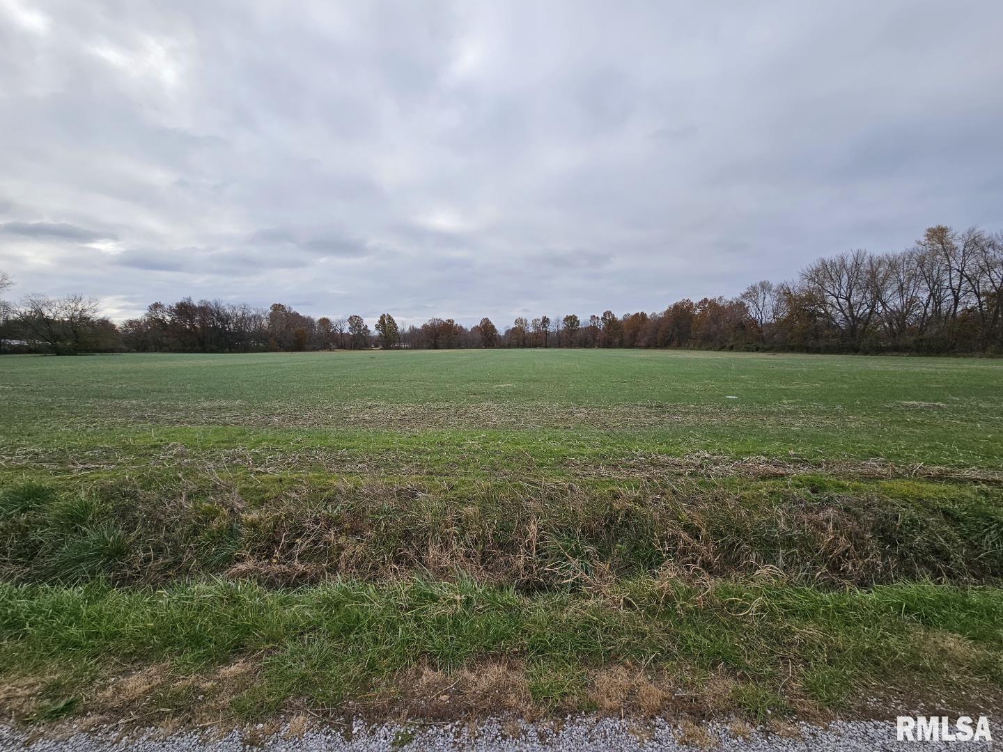 Property Photo: 0000 Bethel Road IL 62864